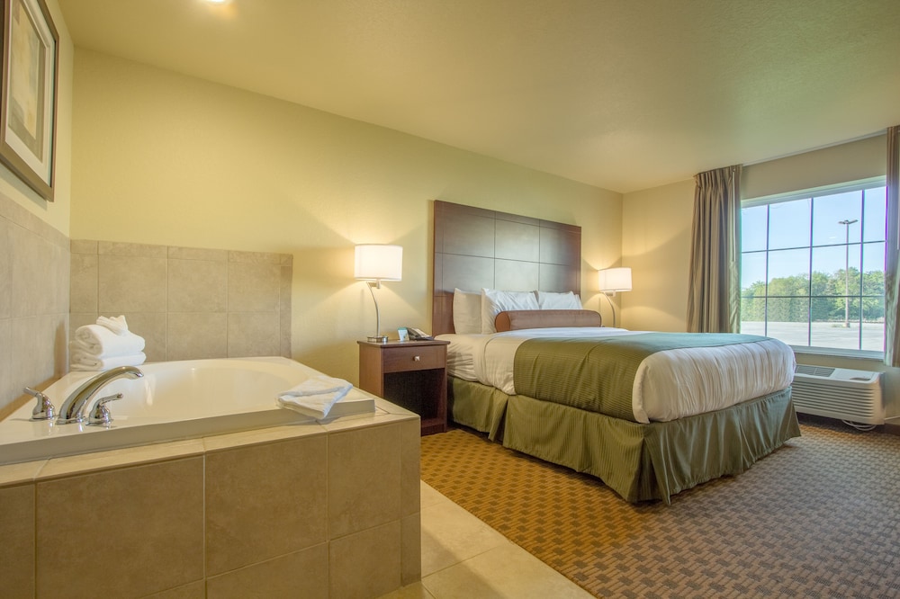Suite, 1 King Bed, Non Smoking photo 1
