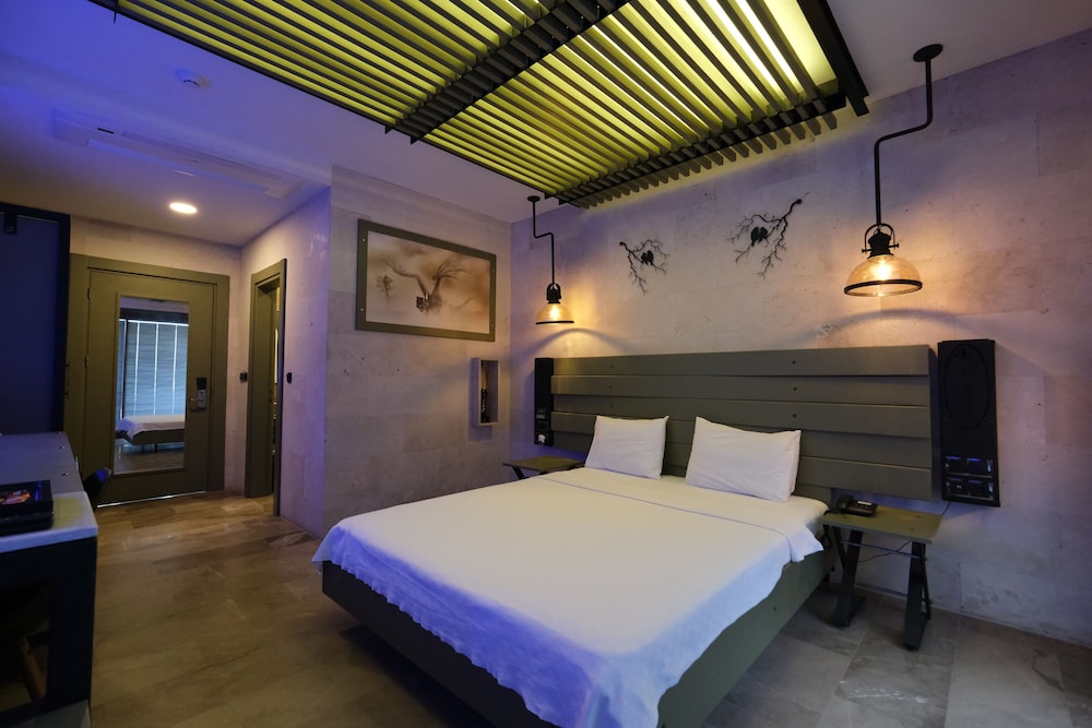 Deluxe Double Room photo 1