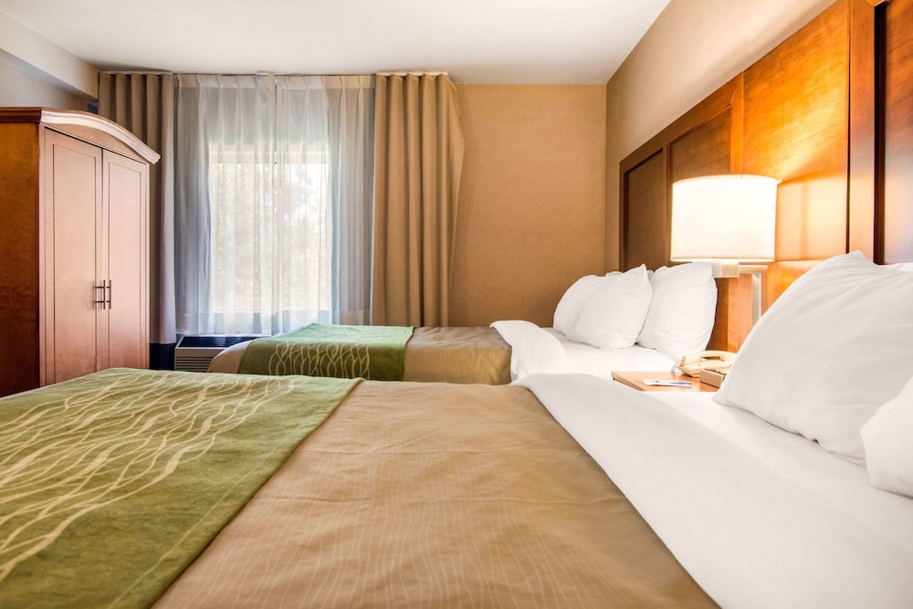 Suite, 2 Queen Beds, Non Smoking (Two person Sofabed) - Photo 4