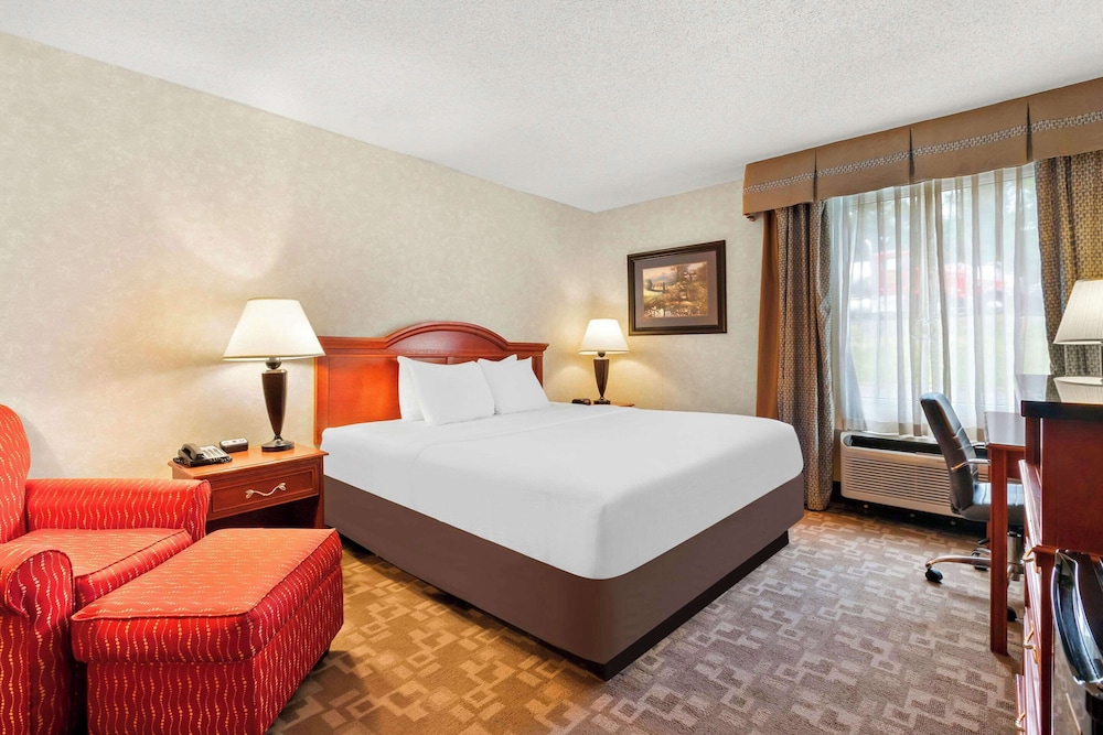 Room, 1 King Bed, Non Smoking - Photo 1