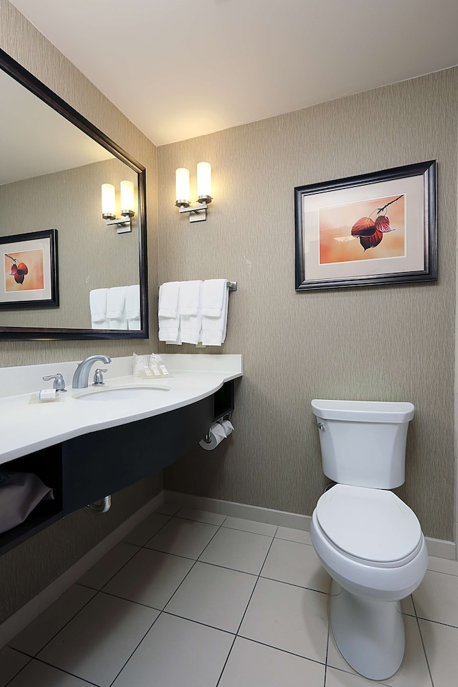Evolution, Room, 2 Queen Beds - Photo 4