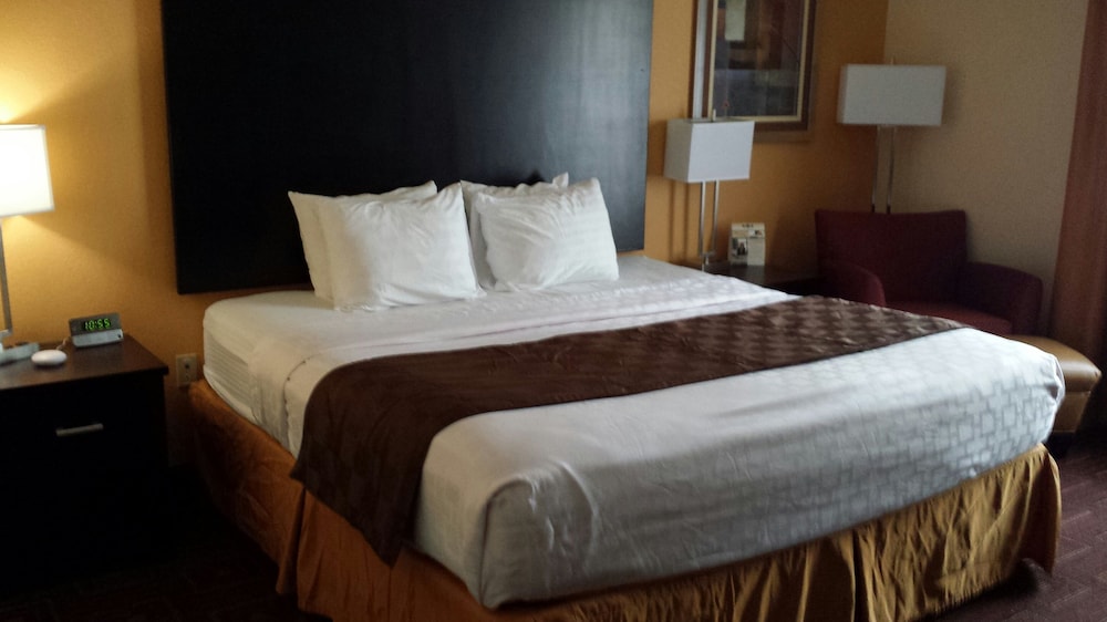 Standard Room, 1 King Bed, Accessible, Non Smoking