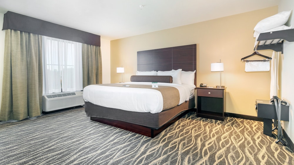 Suite, 1 King Bed, with Sofa Bed, Audible/Visual Alert, Non Smoking - Photo 3