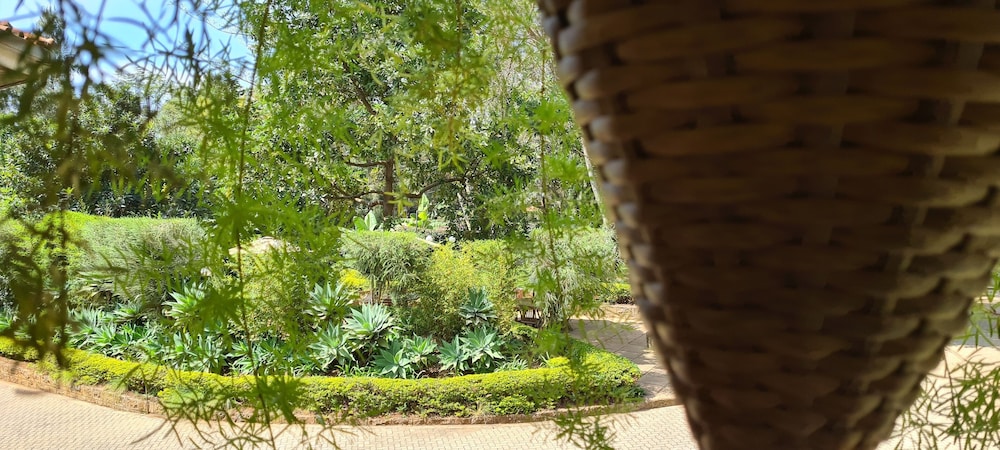 Deluxe Double Room, Garden View photo 3
