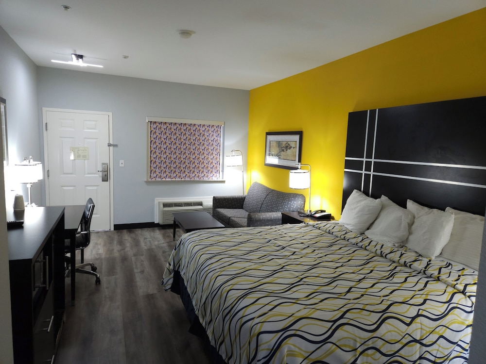 Suite (King) photo 1