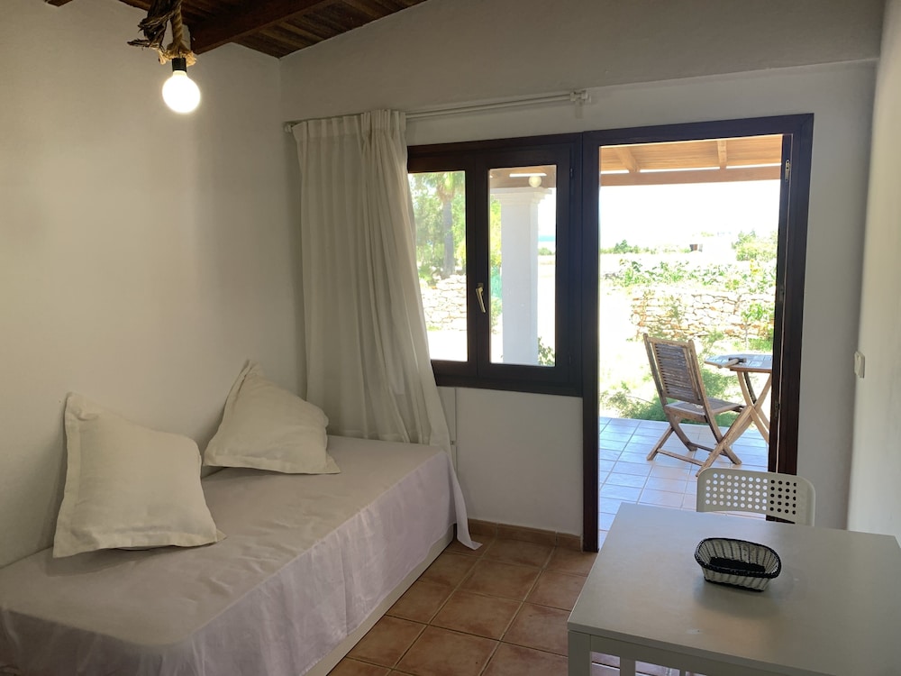 Basic Apartment, 1 Bedroom, Terrace photo 3
