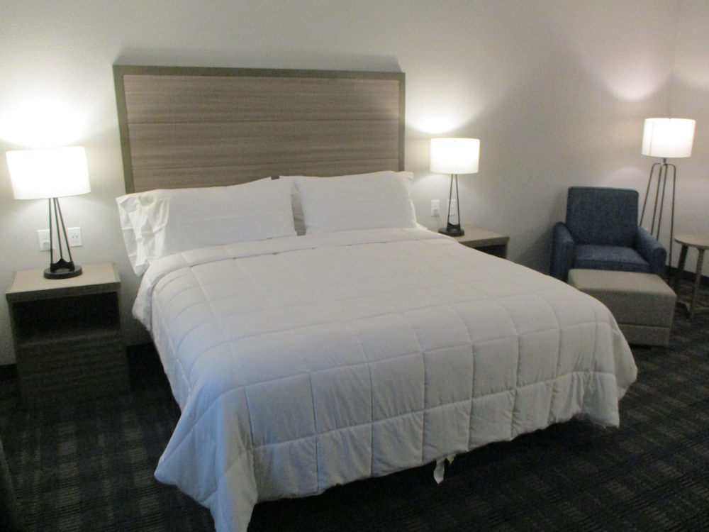 Standard Room, 1 King Bed, Accessible, Refrigerator & Microwave