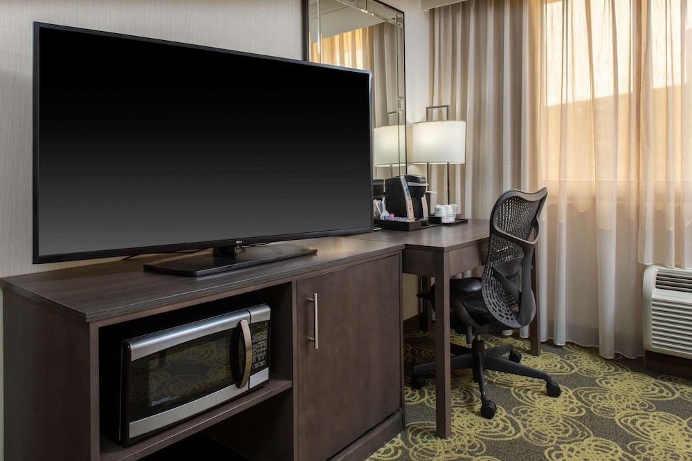 Suite, 1 Bedroom, Non Smoking photo 2