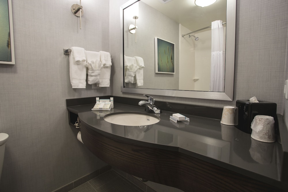 Hilton Garden Inn Bolingbrook I-55, 写真 2