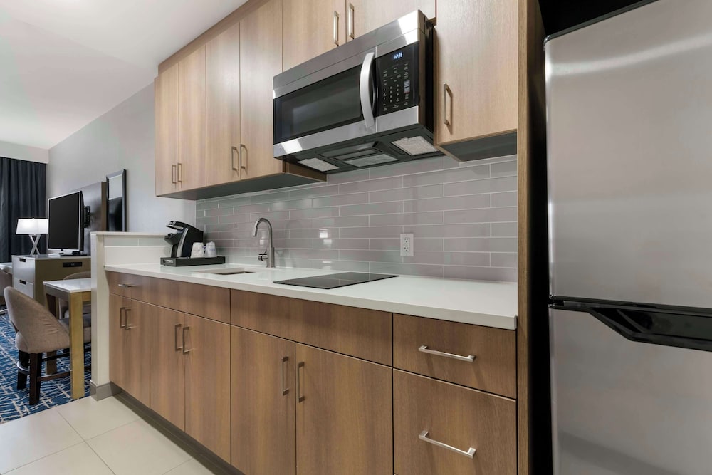 Suite, 1 King Bed, Non Smoking, Kitchen (Shower Only;w/ Sofabed, Full Kitchen) - Photo 3
