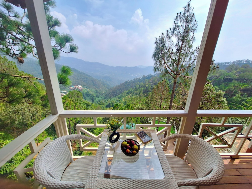 Exclusive Tree House photo 3