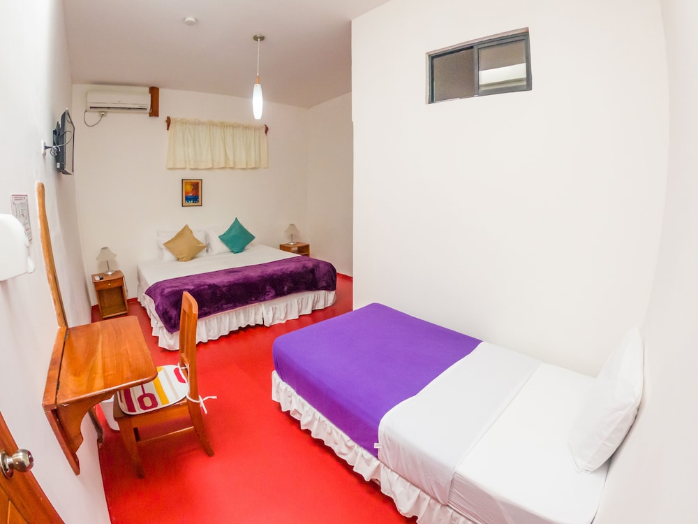 Standard Triple Room photo 1