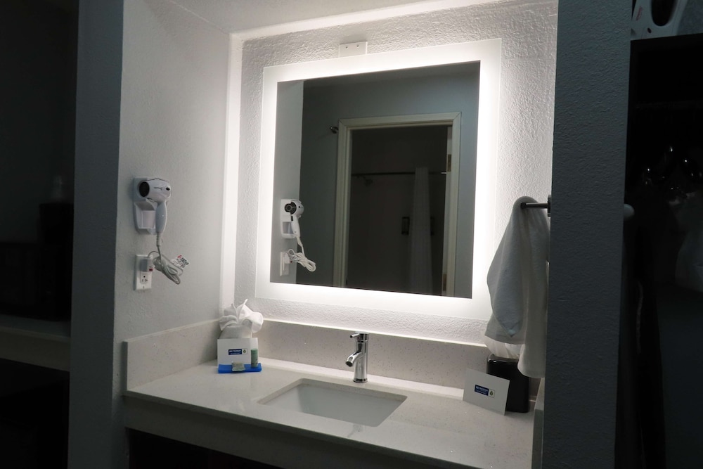 Standard Room, 1 King Bed, Accessible, Refrigerator & Microwave - Photo 4