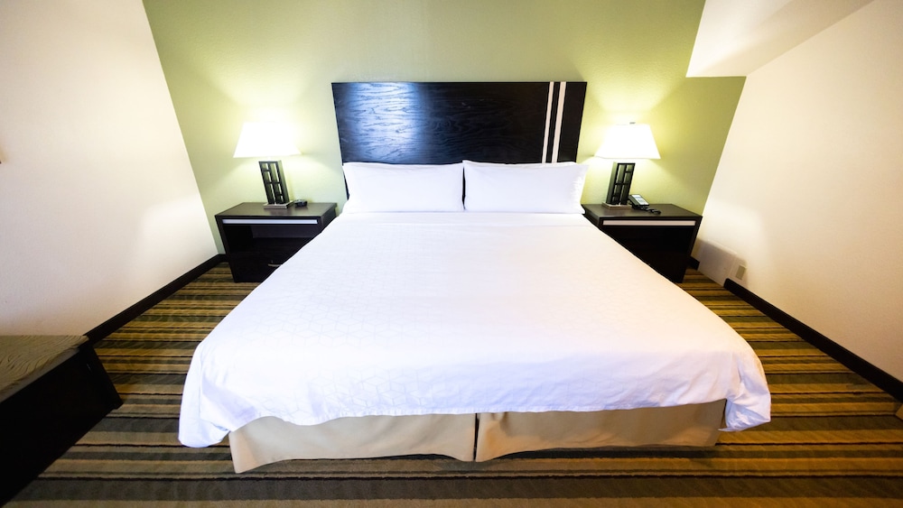 Suite, 1 King Bed, Jetted Tub - Photo 13