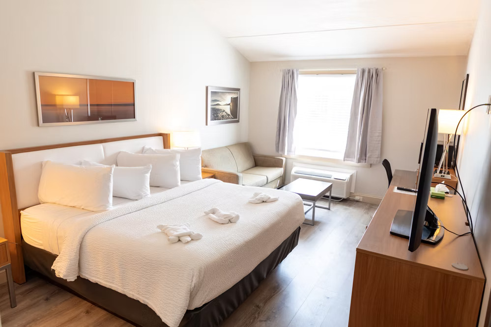Superior king room with sofa bed