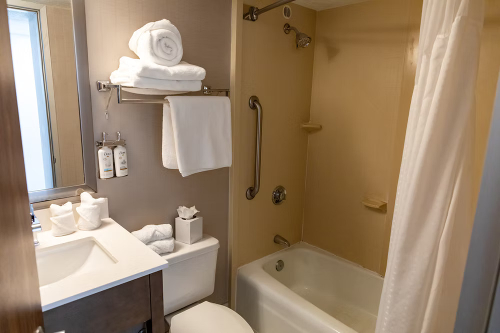 Premium room, 1 king bed