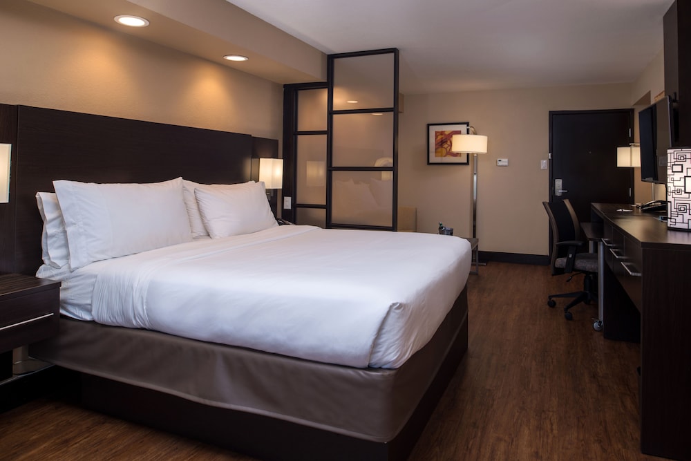 Suite, 1 King Bed, Accessible, Non Smoking photo 1