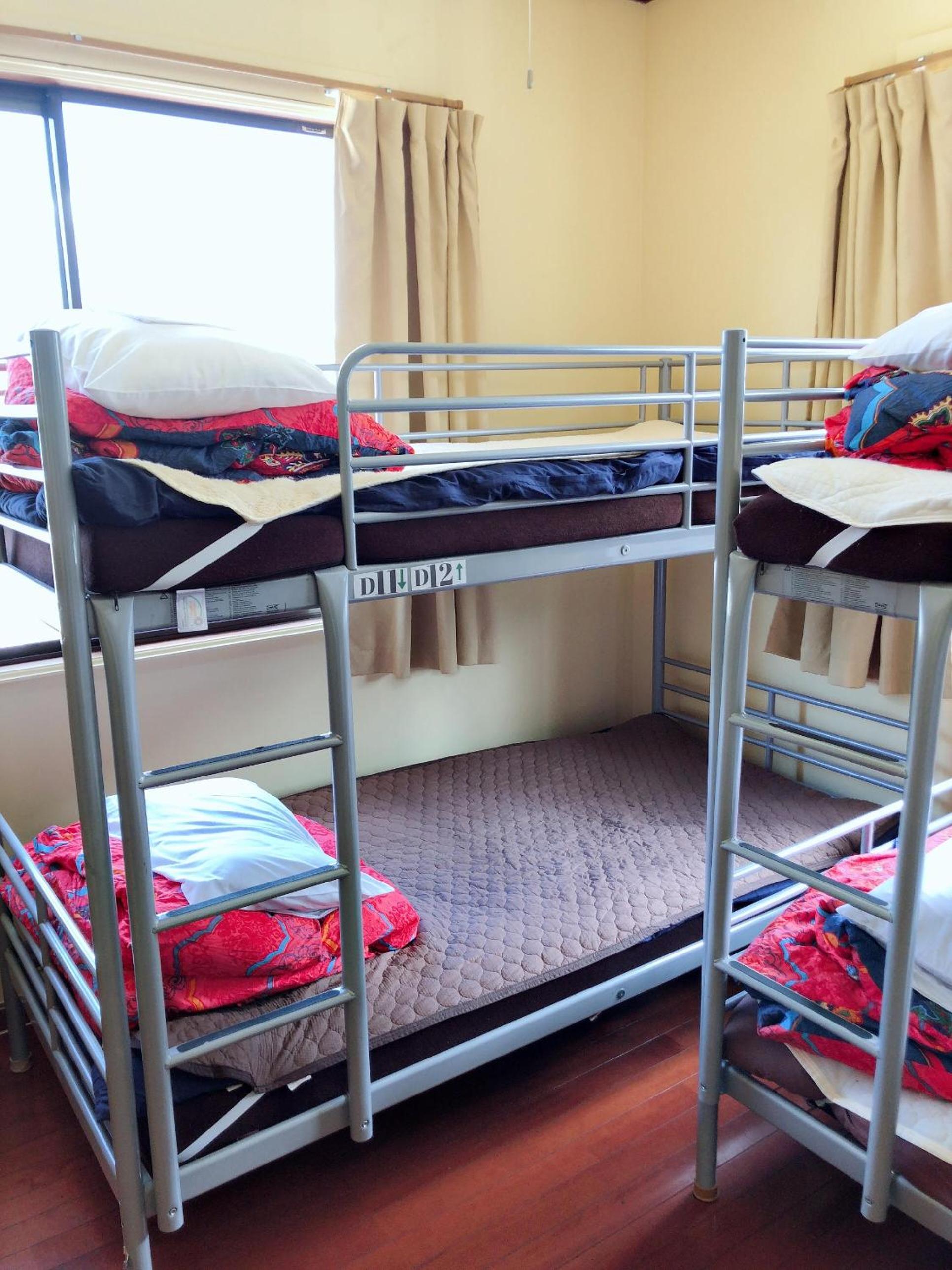 Bunk Bed in Mixed Dormitory Room