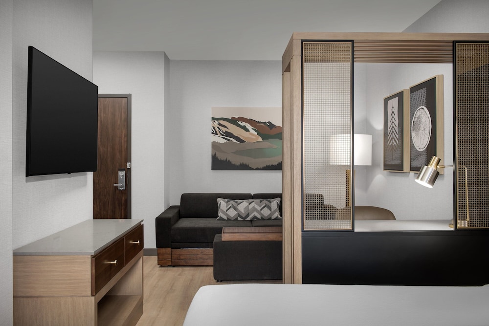 Studio, 1 King Bed with Sofa bed (Mobility Accessible, Roll-In Shower) photo 3