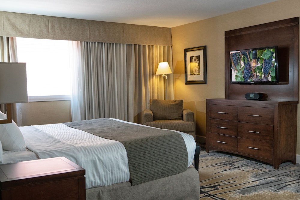 Signature Suite photo 3
