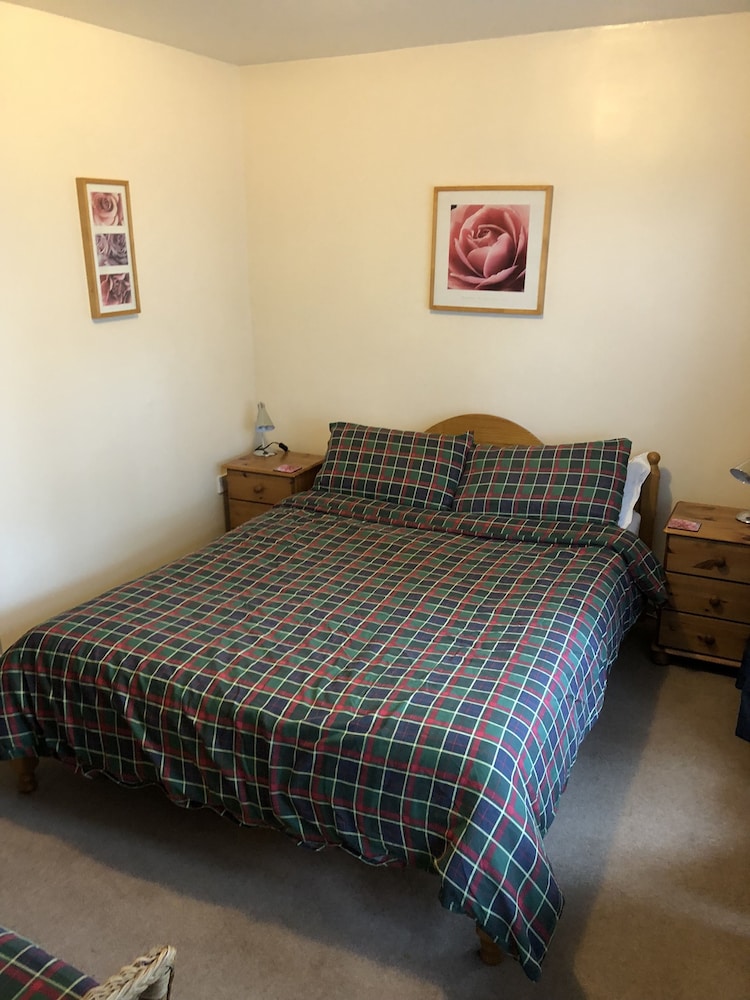 Room, 1 King Bed, Non Smoking photo 3