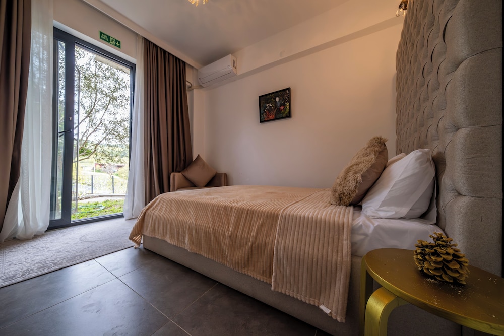 Economy Double Room, Mountain View photo 3