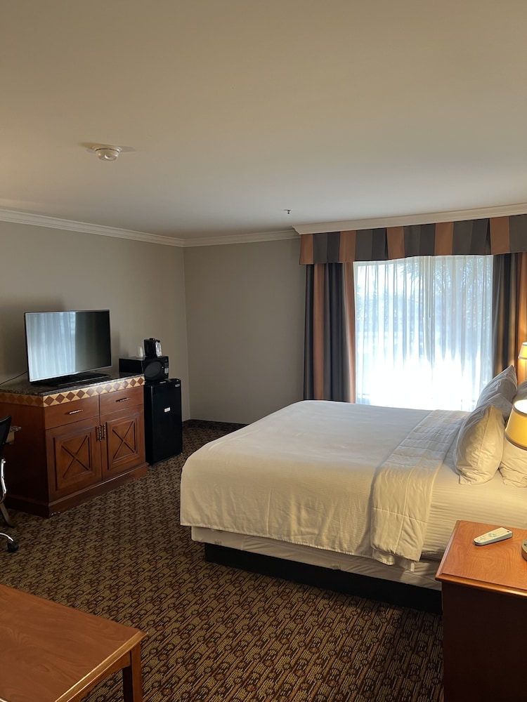 Deluxe Room, 1 King Bed, Non Smoking - Photo 1