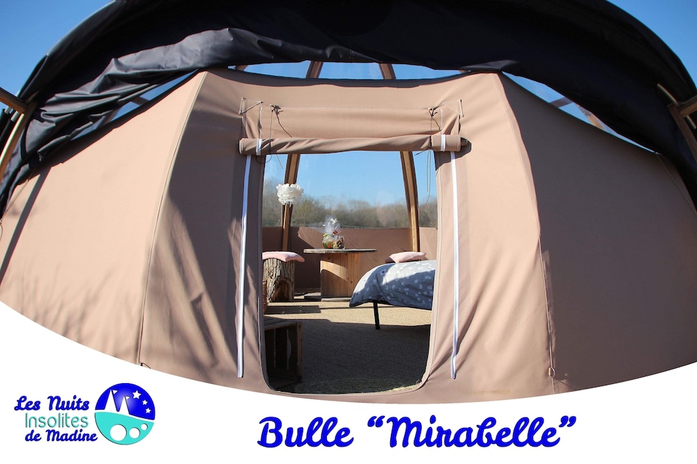 Bulle Cerise photo 1