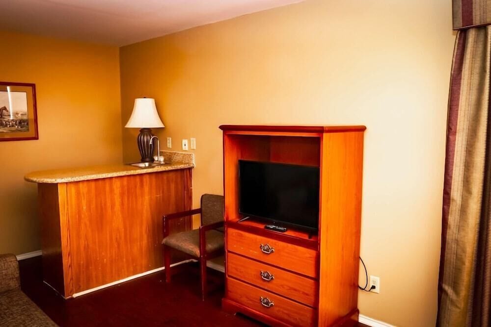 Suite, 1 King Bed, Non Smoking photo 2