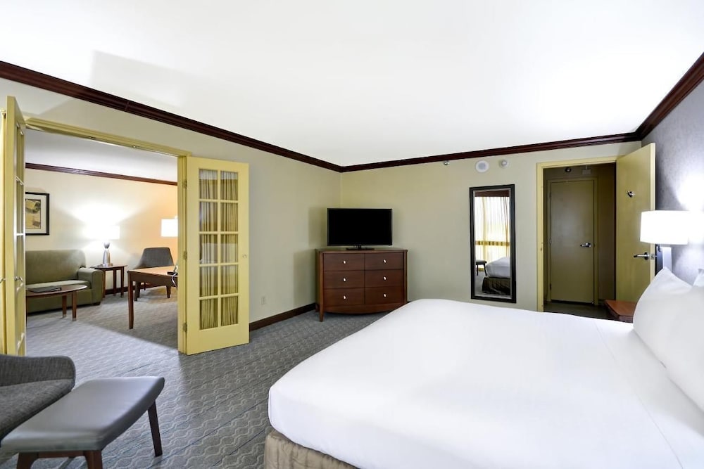 Deluxe King Suite