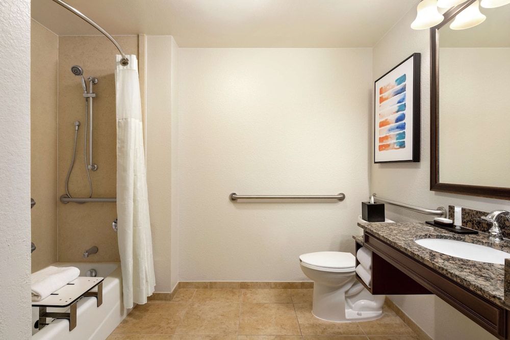 Premium Suite, 1 Bedroom, Accessible, Non Smoking (Roll-in Shower) - Photo 7