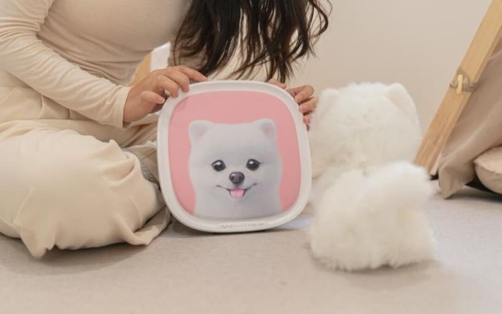 Pet Friendly photo 2