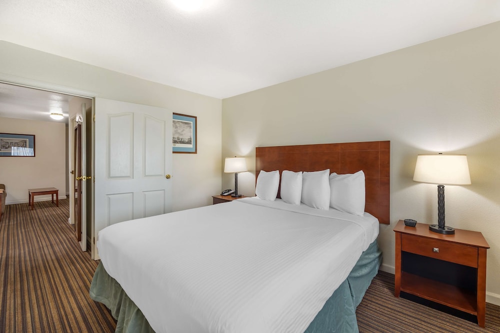 Suite, 1 King Bed, Non Smoking, Refrigerator & Microwave photo 2