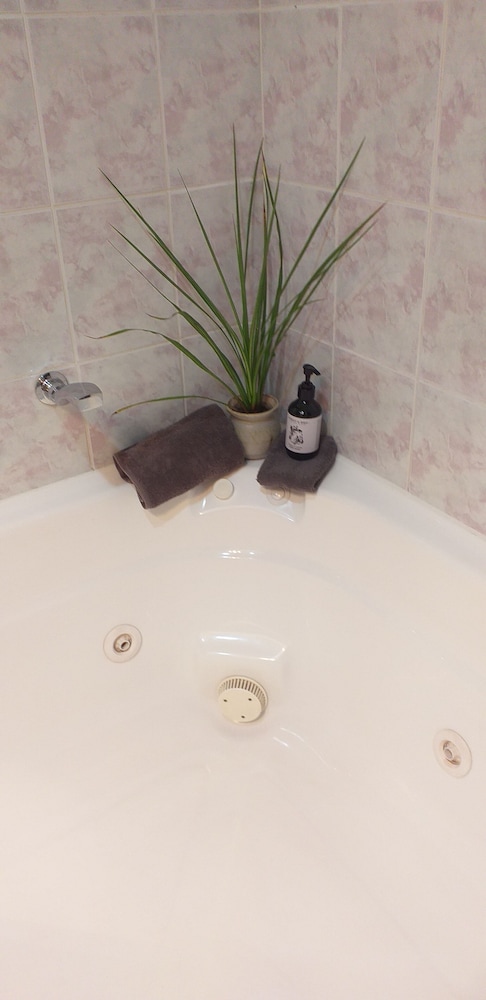 Studio with Spa Bath photo 3