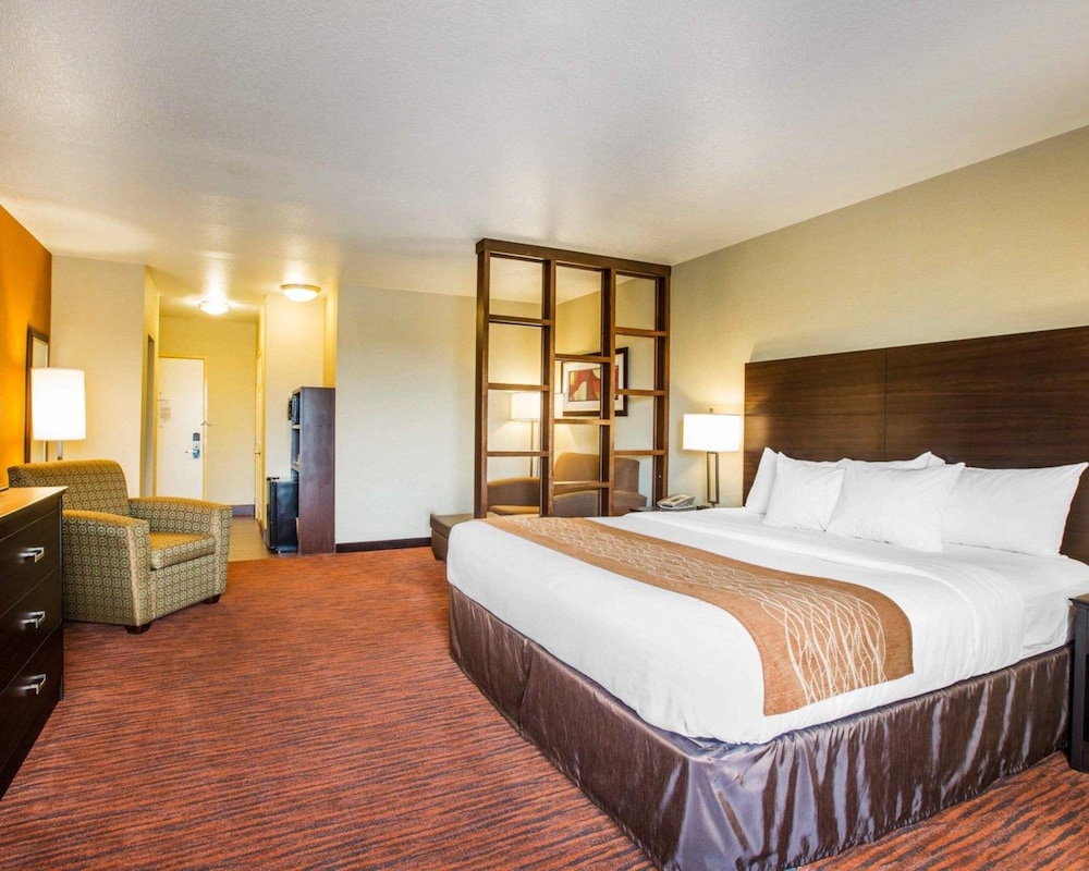 Suite - Photo 5