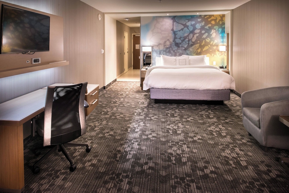 Room, 1 King Bed with Sofa bed