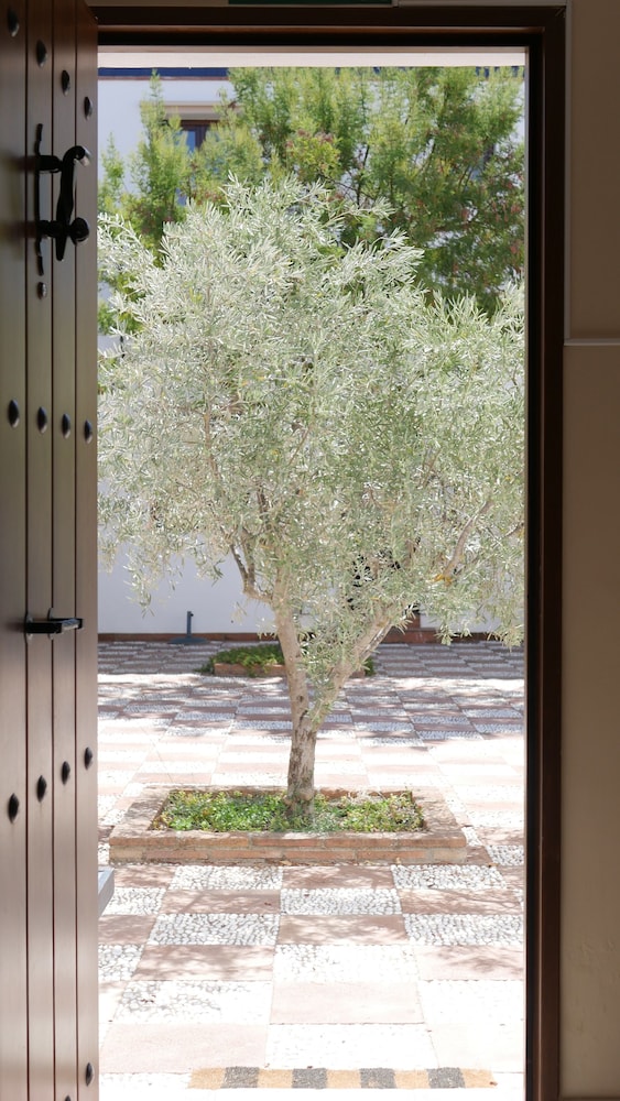 Superior Double Room, Jetted Tub, Courtyard Area photo 3