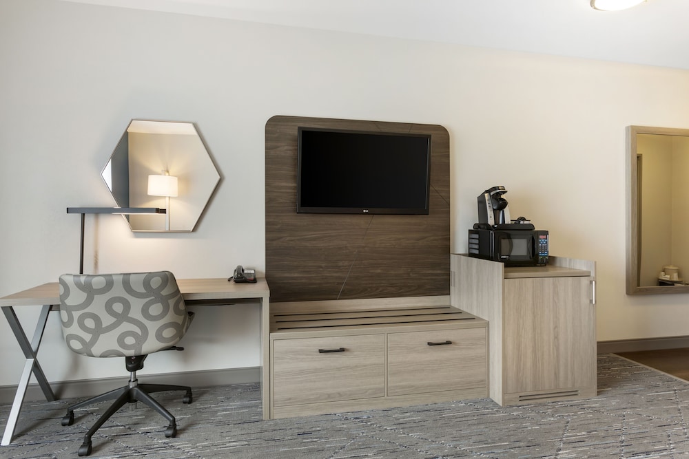 Standard Room, 1 King Bed, Accessible Bathtub (Accessible Tub) photo 3