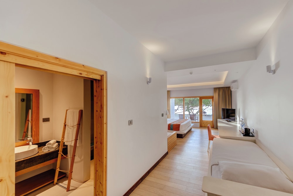 Double Room Single Use