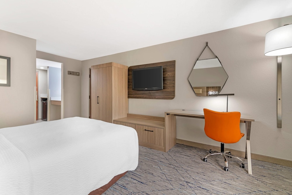 Room, 1 King Bed, Roll-in Shower, Non Smoking