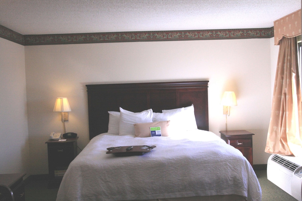 Classic Studio Suite, 1 King Bed with Sofa bed, Non Smoking, Kitchenette