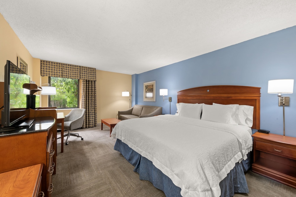 Accessible Room, 1 King Bed (Mobility Bathtub) photo 3