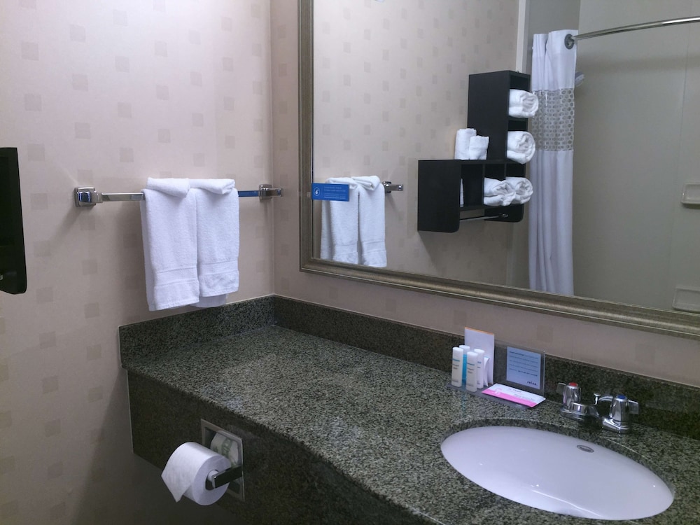 Room, 1 King Bed, Accessible - Photo 6