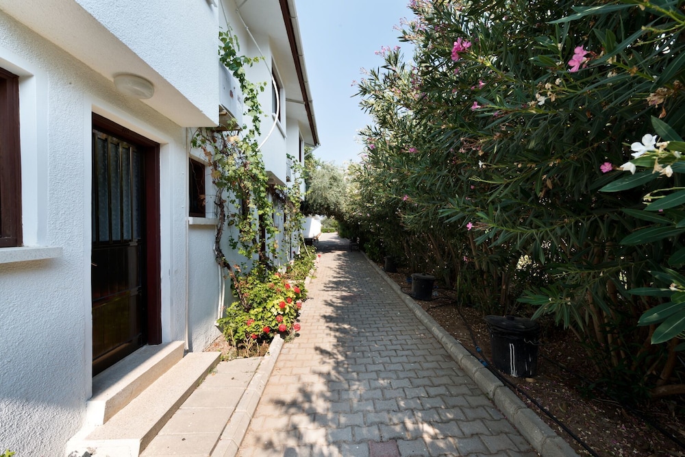Family Duplex, 1 Bedroom, Non Smoking, Mountain View photo 2