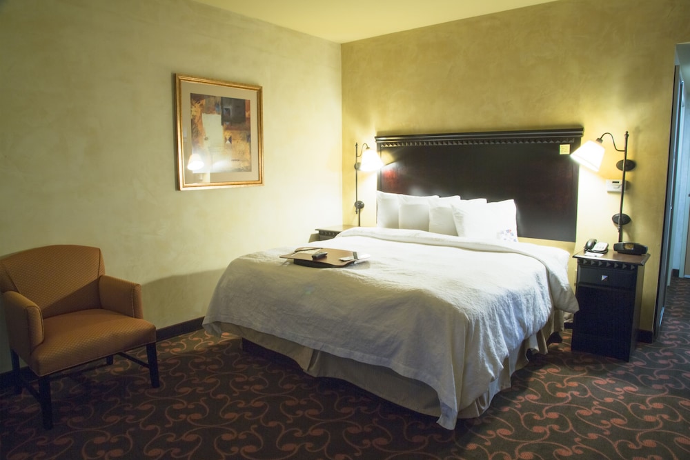 Room, 1 King Bed, Accessible