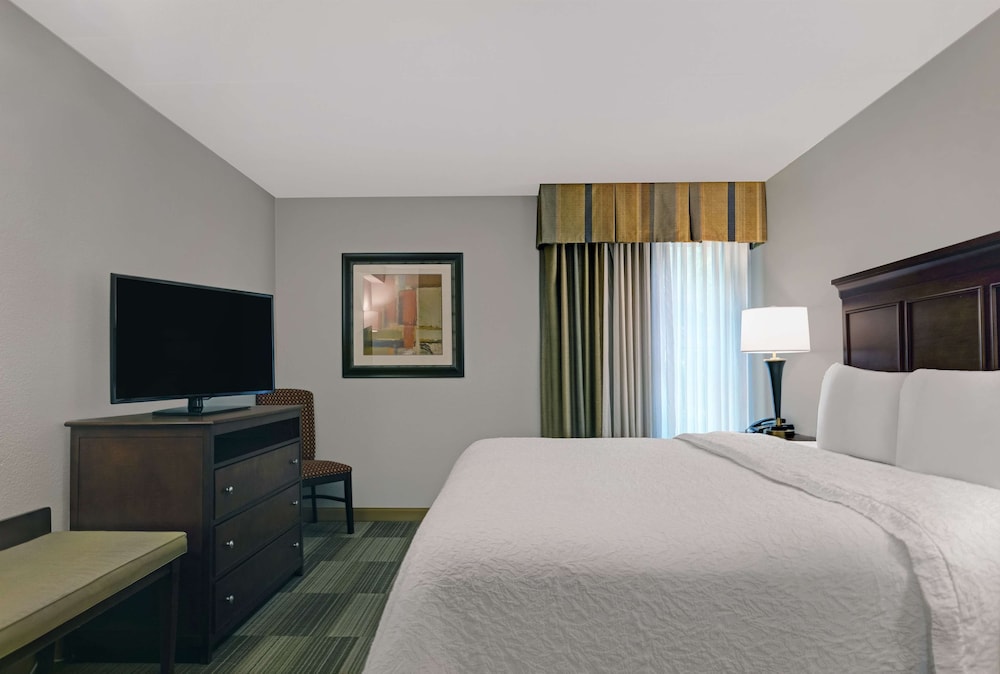 Room, 1 King Bed, Non Smoking photo 3