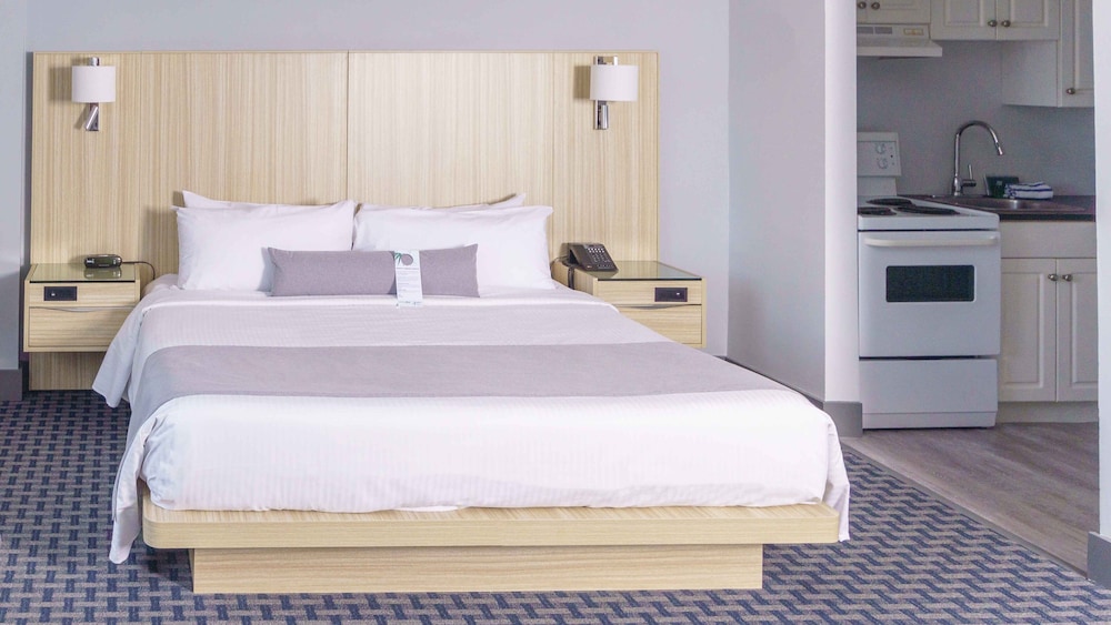 Premium Studio, 1 King Bed, City View - Photo 2