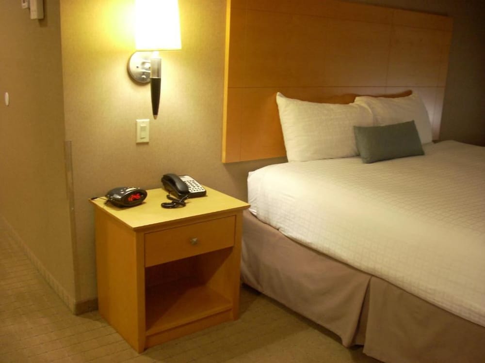 Studio Suite, 1 King Bed - Photo 3