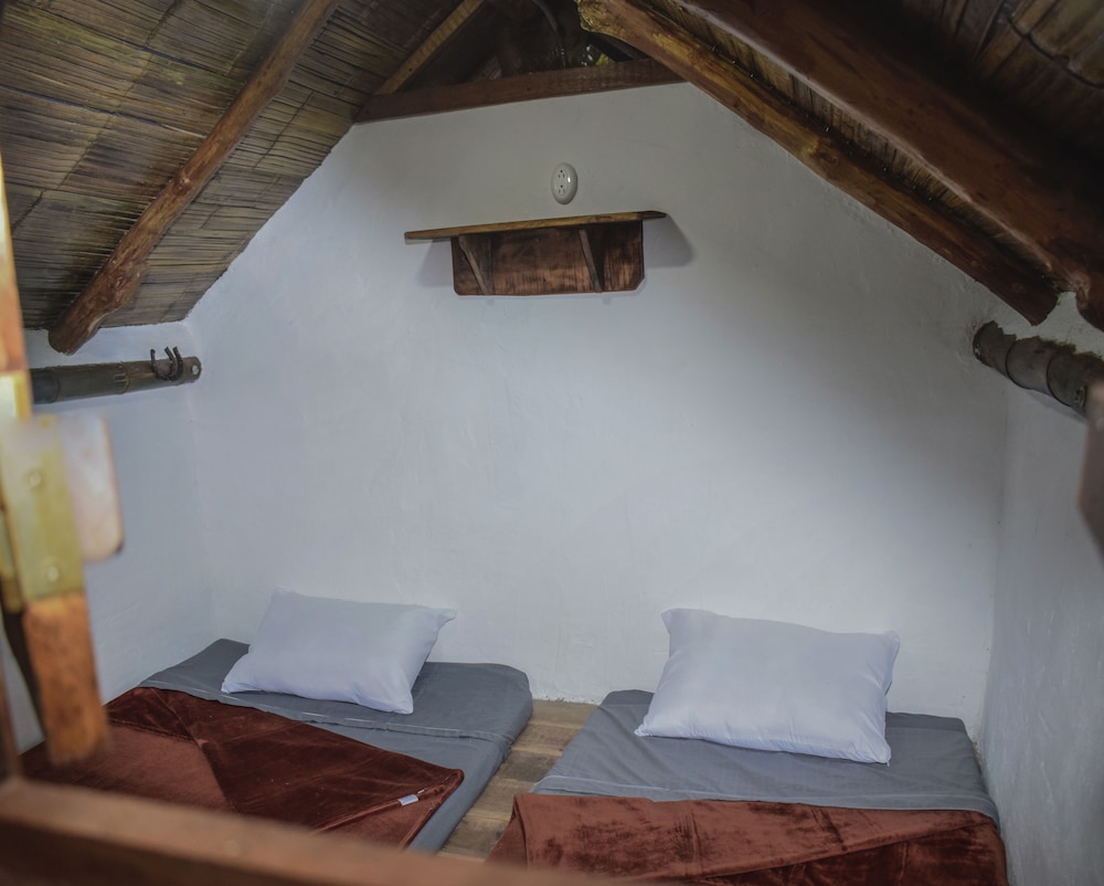 Basic Cabin
