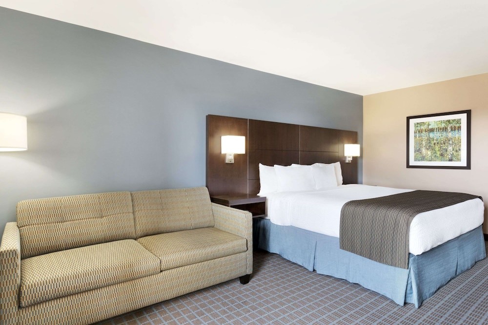Suite, 1 King Bed - Photo 1